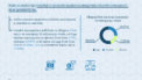 Rezultati rada lokalnih samouprava u borbi protiv korupcije na lokalnom nivou u Crnoj Gori